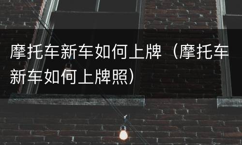摩托车新车如何上牌（摩托车新车如何上牌照）
