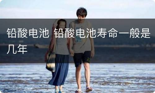 铅酸电池 铅酸电池寿命一般是几年