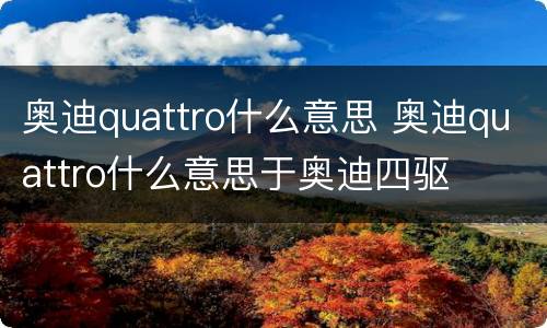 奥迪quattro什么意思 奥迪quattro什么意思于奥迪四驱