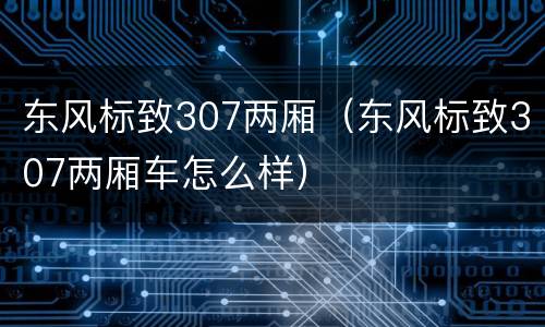 东风标致307两厢（东风标致307两厢车怎么样）