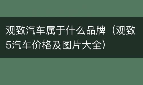 观致汽车属于什么品牌（观致5汽车价格及图片大全）