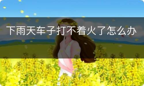 下雨天车子打不着火了怎么办