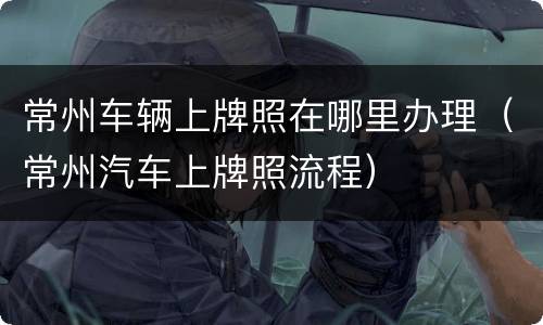常州车辆上牌照在哪里办理（常州汽车上牌照流程）