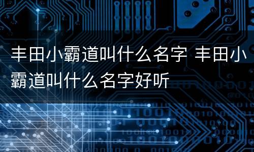 丰田小霸道叫什么名字 丰田小霸道叫什么名字好听