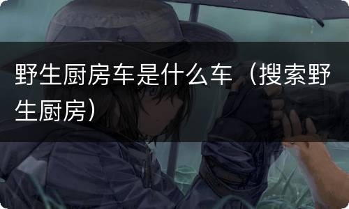 野生厨房车是什么车（搜索野生厨房）
