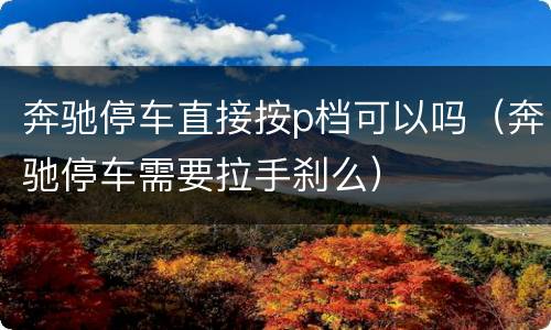 奔驰停车直接按p档可以吗（奔驰停车需要拉手刹么）