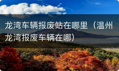 龙湾车辆报废站在哪里（温州龙湾报废车辆在哪）