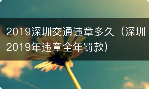 2019深圳交通违章多久（深圳2019年违章全年罚款）
