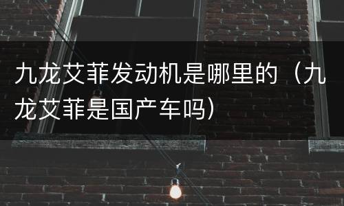 九龙艾菲发动机是哪里的（九龙艾菲是国产车吗）