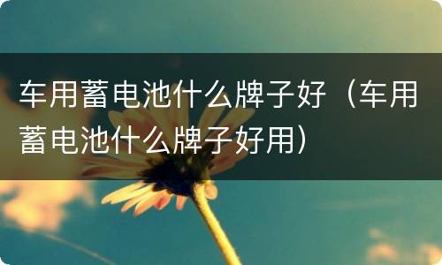 车用蓄电池什么牌子好（车用蓄电池什么牌子好用）