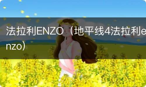 法拉利ENZO（地平线4法拉利enzo）