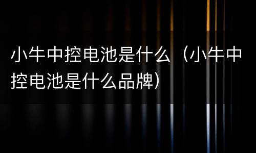 小牛中控电池是什么（小牛中控电池是什么品牌）