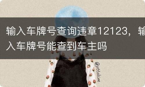 输入车牌号查询违章12123，输入车牌号能查到车主吗