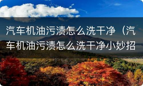 汽车机油污渍怎么洗干净（汽车机油污渍怎么洗干净小妙招）
