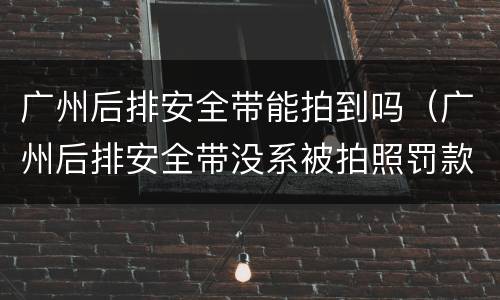 广州后排安全带能拍到吗（广州后排安全带没系被拍照罚款多少）