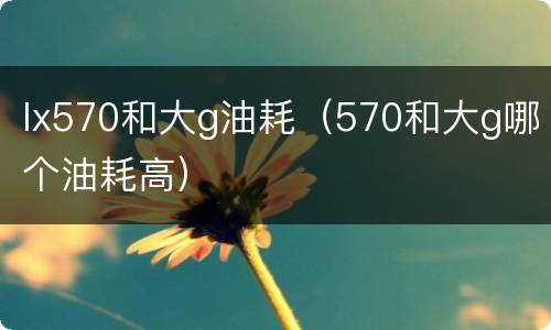 lx570和大g油耗（570和大g哪个油耗高）