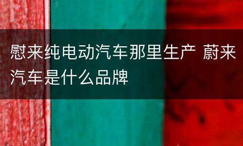 慰来纯电动汽车那里生产 蔚来汽车是什么品牌