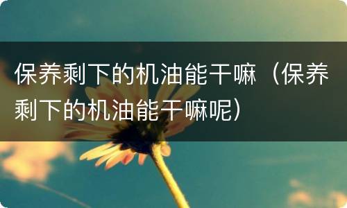 保养剩下的机油能干嘛（保养剩下的机油能干嘛呢）