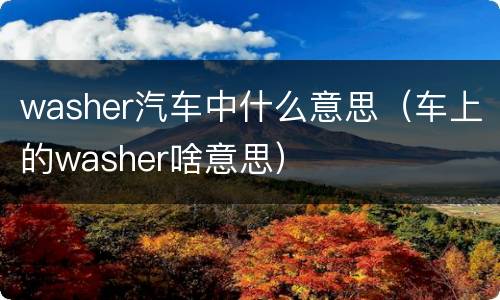 washer汽车中什么意思（车上的washer啥意思）