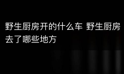 野生厨房开的什么车 野生厨房去了哪些地方