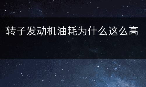 转子发动机油耗为什么这么高