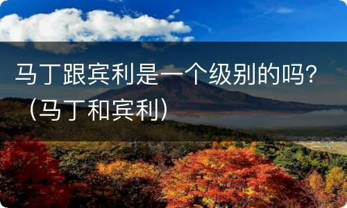 马丁跟宾利是一个级别的吗？（马丁和宾利）