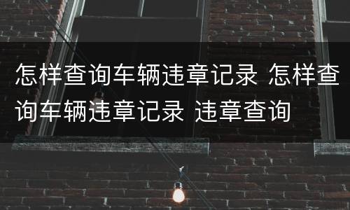怎样查询车辆违章记录 怎样查询车辆违章记录 违章查询