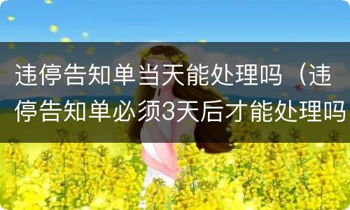 违停告知单当天能处理吗（违停告知单必须3天后才能处理吗）
