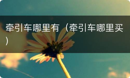 牵引车哪里有（牵引车哪里买）