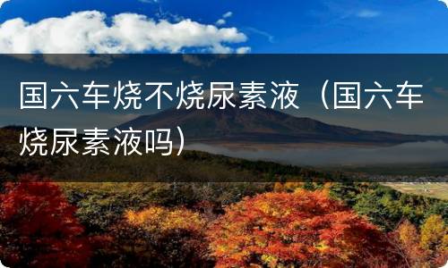 国六车烧不烧尿素液（国六车烧尿素液吗）