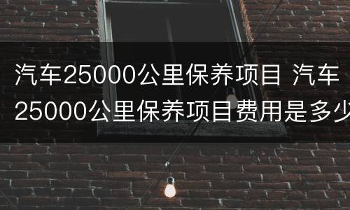 汽车25000公里保养项目 汽车25000公里保养项目费用是多少