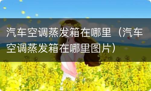 汽车空调蒸发箱在哪里（汽车空调蒸发箱在哪里图片）