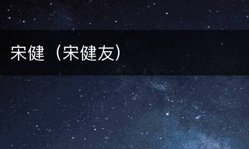 宋健（宋健友）