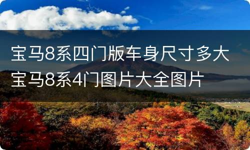 宝马8系四门版车身尺寸多大 宝马8系4门图片大全图片