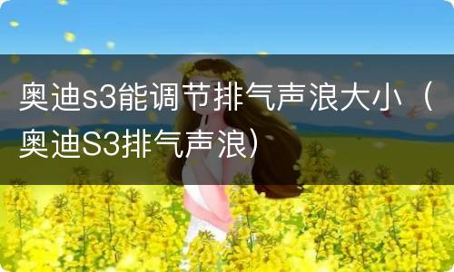 奥迪s3能调节排气声浪大小（奥迪S3排气声浪）