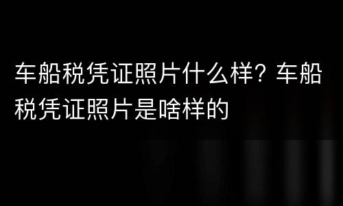 车船税凭证照片什么样? 车船税凭证照片是啥样的