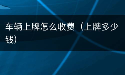 车辆上牌怎么收费（上牌多少钱）