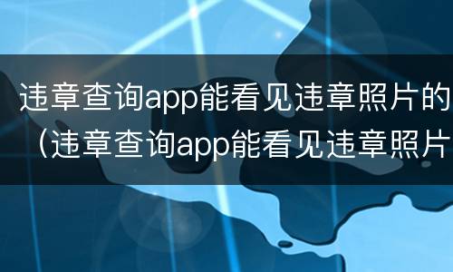 违章查询app能看见违章照片的（违章查询app能看见违章照片的信息吗）