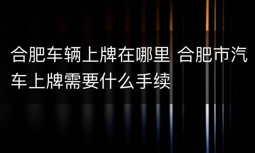 合肥车辆上牌在哪里 合肥市汽车上牌需要什么手续