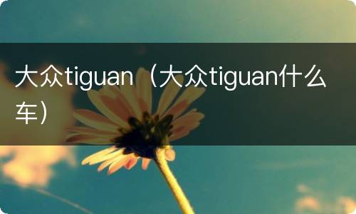 大众tiguan（大众tiguan什么车）