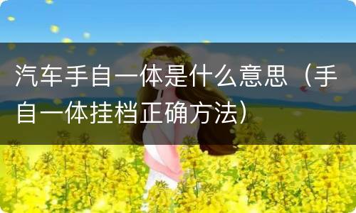 汽车手自一体是什么意思（手自一体挂档正确方法）