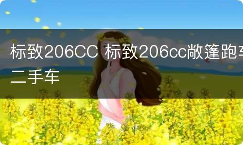 标致206CC 标致206cc敞篷跑车二手车
