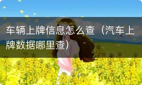 车辆上牌信息怎么查（汽车上牌数据哪里查）