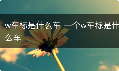 w车标是什么车 一个w车标是什么车