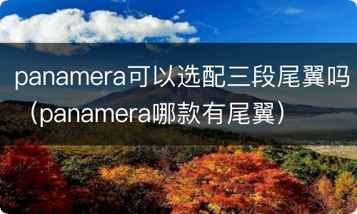 panamera可以选配三段尾翼吗（panamera哪款有尾翼）