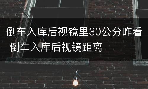 倒车入库后视镜里30公分咋看 倒车入库后视镜距离