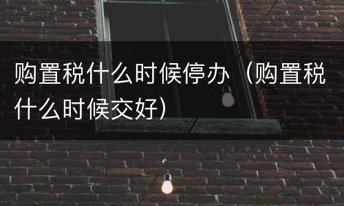 购置税什么时候停办（购置税什么时候交好）