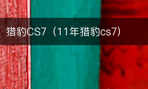 猎豹CS7（11年猎豹cs7）