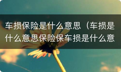 车损保险是什么意思（车损是什么意思保险保车损是什么意思）