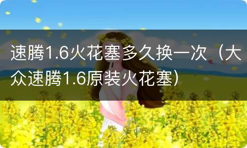 速腾1.6火花塞多久换一次（大众速腾1.6原装火花塞）